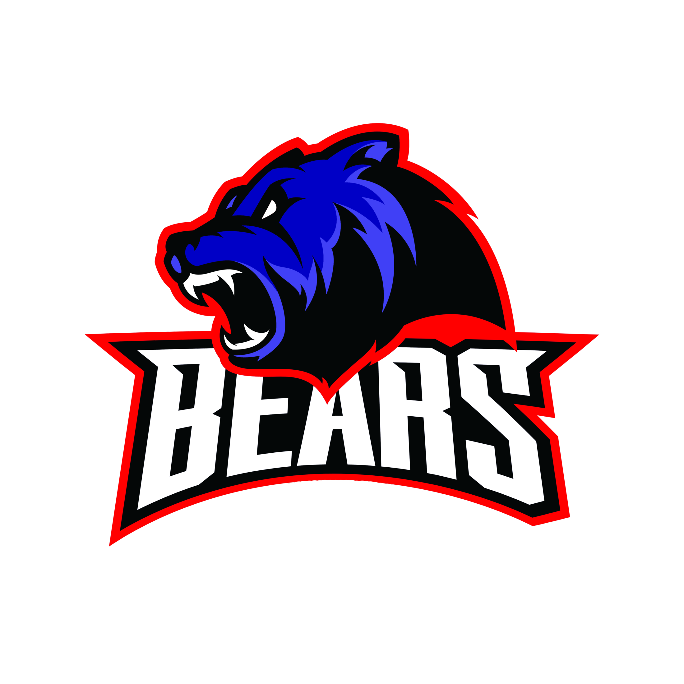 Bear Branch JH