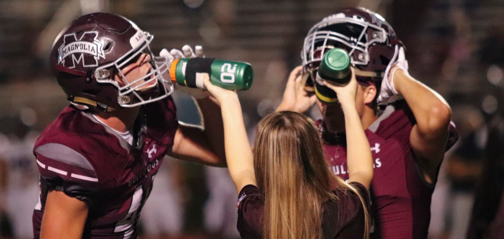 Magnolia Sports Medicine